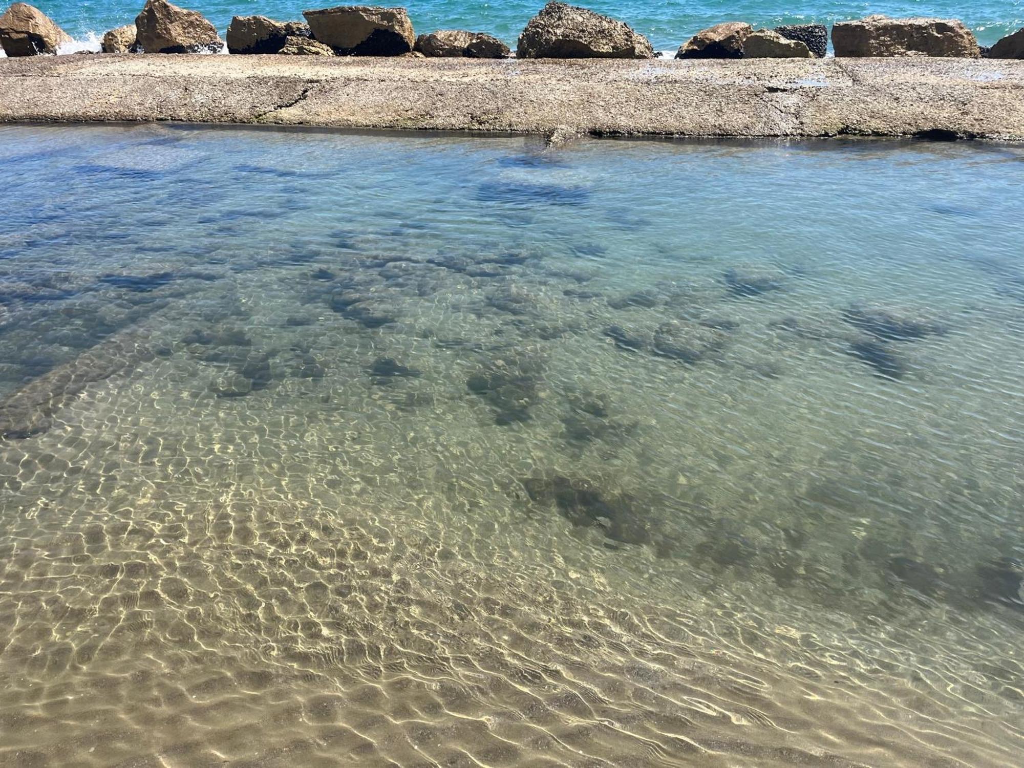 Il Cavalluccio Anzio Luaran gambar